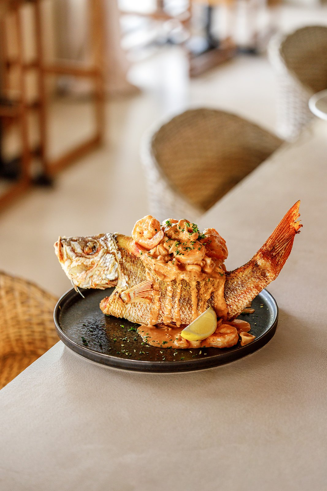 Pescado relleno, Boca Chica style.